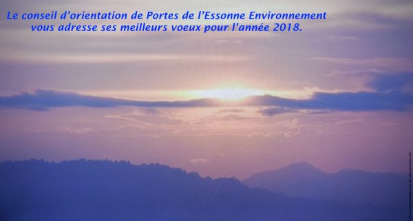 Voeux De Pee Pour Portes De L Essonne Environnement